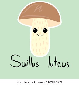 Vector illustration of funny grey mushroom