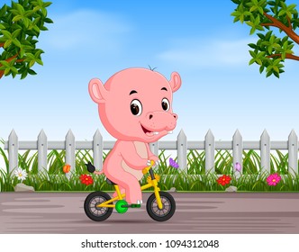 vector illustration of funny hippo cycling in the road