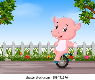 vector illustration of funny hippo playing unicycle in the road