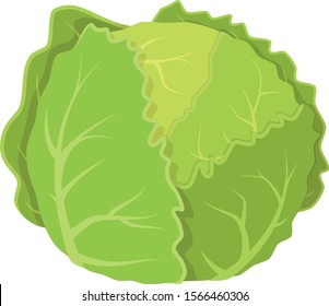 Vector Illustration Funny Lettuce Cartoon Style Stock Vector (Royalty ...