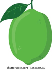 Vector illustration of a funny lime in cartoon style.