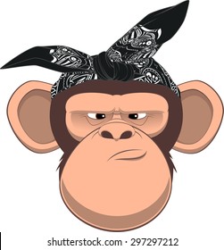 Vector illustration, funny monkey in bandana on white background