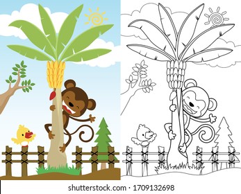 Vector illustration of funny monkey cartoon climb a coconut tree, bird perch on fence, coloring book or page