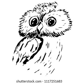 Vector illustration of funny owlet ink drawing