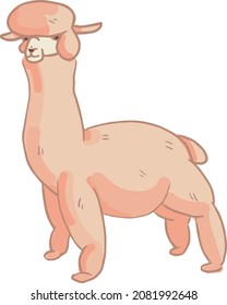 Vector illustration. Funny peach alpaca