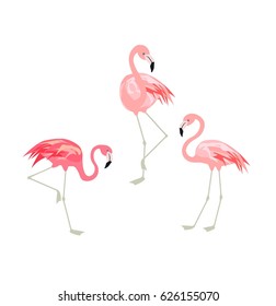 Vector illustration with funny pink flamingo. Paper flat design with exotic birds