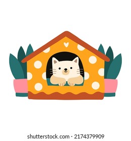 Vector illustration of funny playful cat resting in its house. Cute animal for stickers, web, cards, ads, social media. Expressive pet characters. Cat day. Flat hand drawn cartoon vector illustration