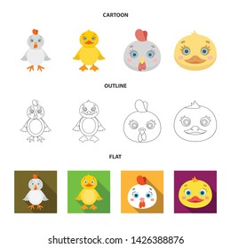 Vector illustration of funny and poultry icon. Collection of funny and farming stock vector illustration.