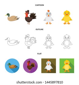 Vector illustration of funny and poultry icon. Set of funny and farming vector icon for stock.