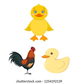Vector illustration of funny and poultry logo. Set of funny and farming vector icon for stock.