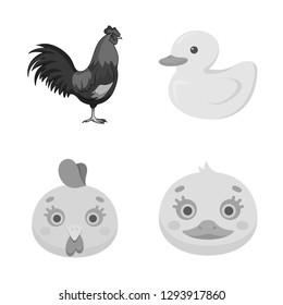 Vector illustration of funny and poultry sign. Collection of funny and farming stock symbol for web.