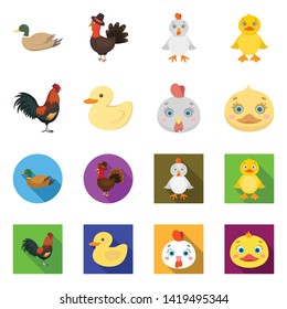 Vector illustration of funny and poultry symbol. Set of funny and farming stock symbol for web. Vector illustration of funny and poultry symbol. Set of funny and farming stock symbol for web.