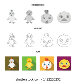 Vector illustration of funny and poultry symbol. Set of funny and farming vector icon for stock.