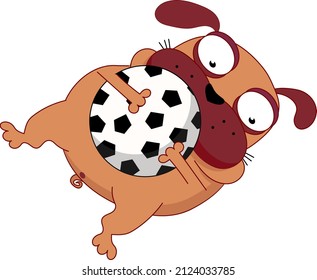 vector illustration of a funny pug dog lying with a soccer ball