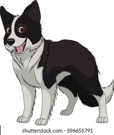 Vector illustration, funny purebred dog, Border Collie, on a white background