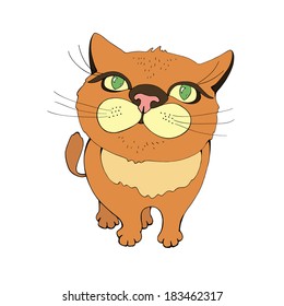  Vector illustration funny red cat with green eyes isolated on white.Cute cat with a big head, which looks at you green eyes and asks for food.