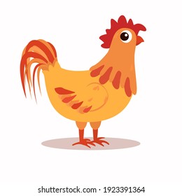 vector illustration of a funny rooster with a frightened look. Isolated on a white background