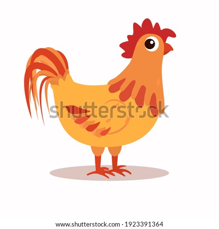 vector illustration of a funny rooster with a frightened look. Isolated on a white background