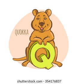 Vector illustration Funny zoo animals kid's alphabet. Hand drawn ink colorful style. Letter Q, quokka