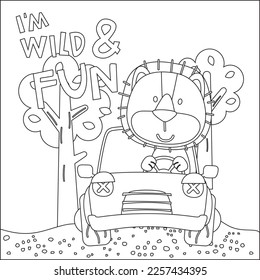 Vector illustration of funy lion driving the white car. Childish design for kids activity colouring book or page.