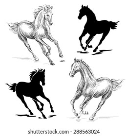 vector illustration of a galloping horse on a white background