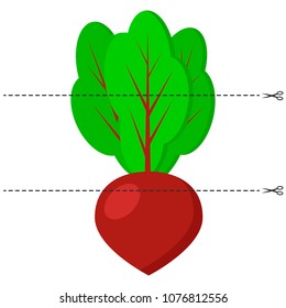Vector illustration. A game for children of preschool age. Cut the picture into pieces. Fold in the right order. Mosaic. Vegetable. Beet
