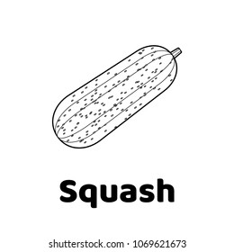 Vector illustration. Game for children. Vegetable. Coloring page squash