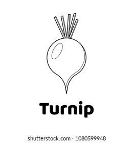 Vector illustration. Game for children. Vegetable. Coloring page Turnip
