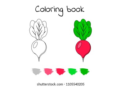 Vector illustration. Game for children. Vegetable. Coloring page radish