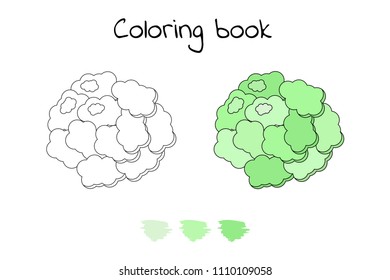 Vector illustration. Game for children. Vegetable. Coloring page cauliflower