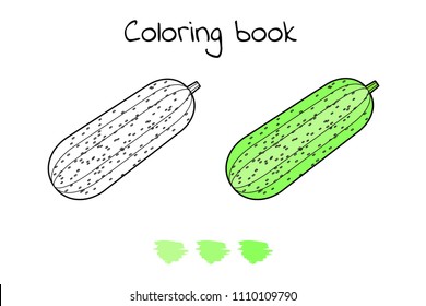 Vector illustration. Game for children. Vegetable. Coloring page squash