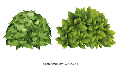 Garden Green Bushes Cartoon Shrub And Bush Vector Set Isolated - Free