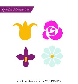 the vector illustration of garden flowers in a flat style 