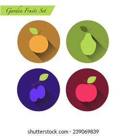 the vector illustration of garden fruits in a flat style with shadow