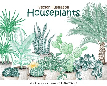 Vector illustration of garden houseplants in engraving style. Graphic linear dracaena, lobivia cactus, sansevieria, ficus, scindapsus, prickly pear cactus, succulents, pilea, indoor palm