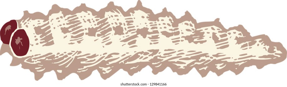 Vector illustration of garden pest cutworm