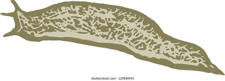 Vector illustration of garden pest slug
