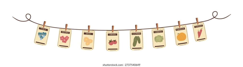 Vector illustration of garden seed packets clipped to a string. Hand-drawn clip art features simple style art and labeled packs of various vegetables and flowers. For gardening blogs and headers.