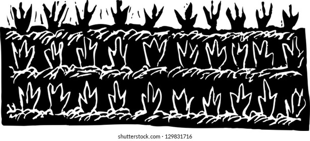 Vector illustration of garden seedlings