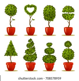 Vector illustration of a garden seedlings a tree in a box in a pot of retro postcard