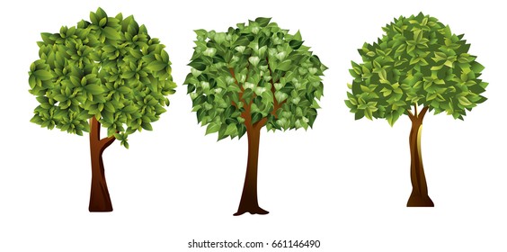 Vector illustration of garden trees with green leaves in cartoon style.