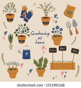 Vector illustration of gardening elements. Plants, equipment and tools for home garden.