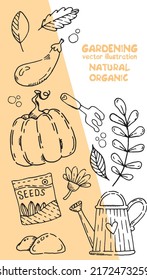 Ilustración vectorial. Jardinería. Verduras. Bio. Natural.  Ilustración vectorial brillante.