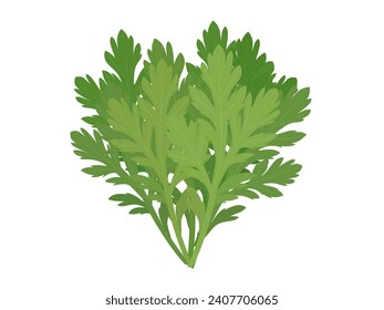 Vector illustration of garland chrysanthemum