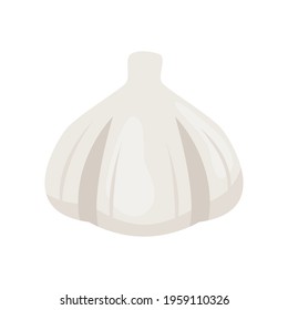 Vector illustration of a garlic