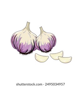 Vector Illustration of garlic bulbs and  cloves on white background. Ideal for use in cookbooks, cooking seasoning logos,food blogs.