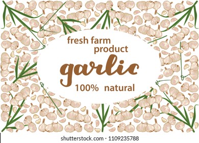 vector illustration of garlic and leaf design with lettering garlic background white and vegetable and text fresh farm product 100% natural EPS10