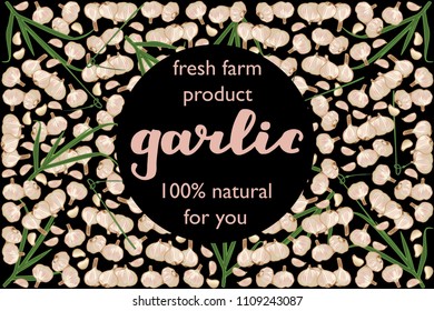 vector illustration of garlic and leaf design with lettering garlic background black and vegetable and text fresh farm product 100% natural for you EPS10