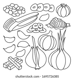 Vector illustration garlic on white background . Isolated outline set icon food of onion . Vector outline set icon garlic.