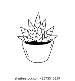 Ilustração vetorial de uma Gasteria no estilo doodle. Isolar em um plano de fundo branco